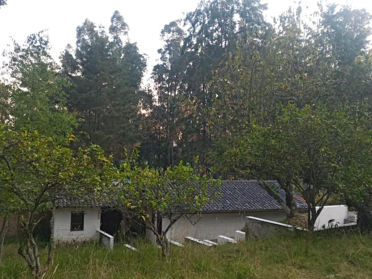 Quinta Los Eucaliptos Villa Кито Екстериор снимка
